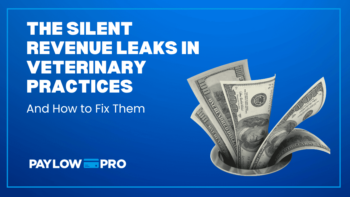 The Silent Revenue Leaks in Veterinary Practices  
(and How to Fix Them)